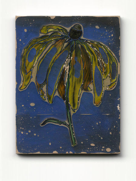 EVI002 - Ewoud Viane - Yellow coneflower