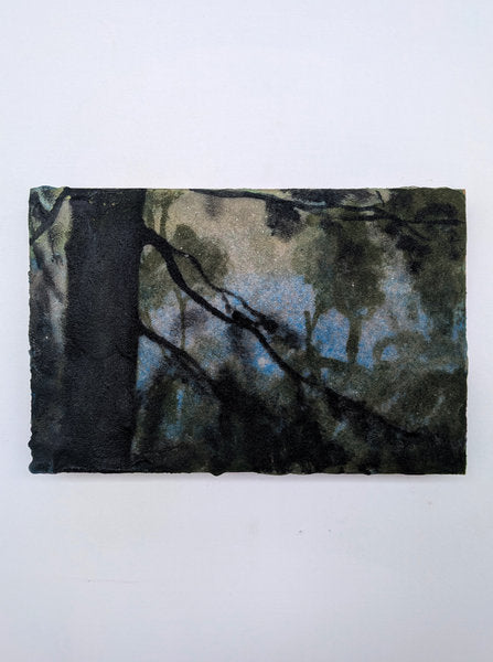 FBA022 - Francesco Battistello - Shadows in the forest