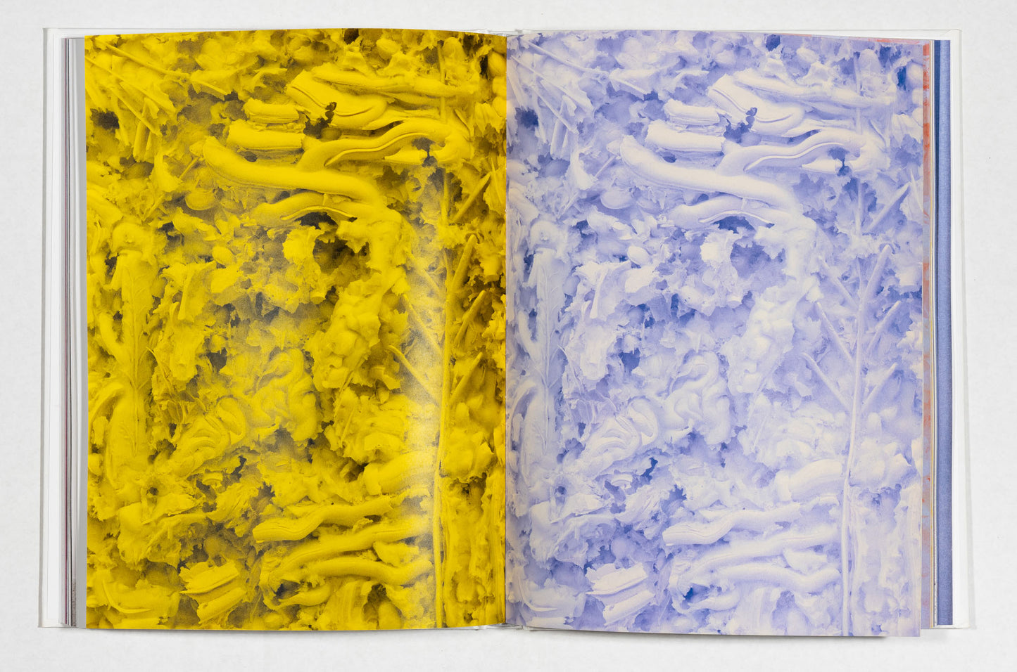 Filip Vervaet, 'Sedimental Journey'