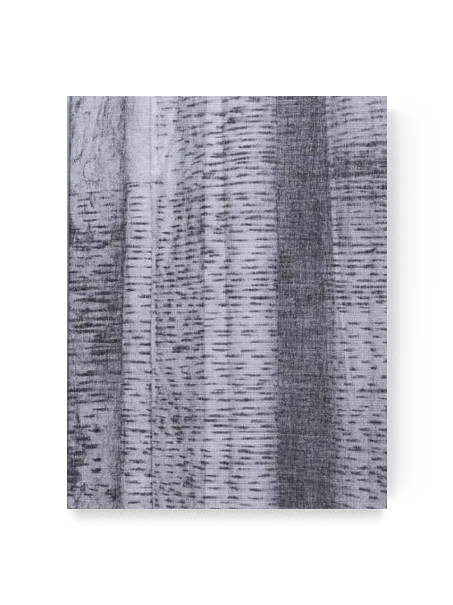 Hannelore Van Dyck, 'The Lasting One, That Didn'T Last'