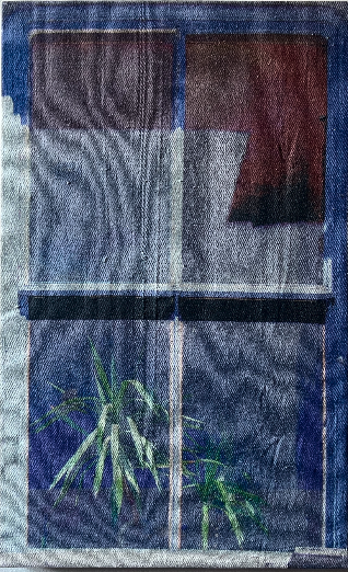NT006 - Nico Tovar - Plant Window