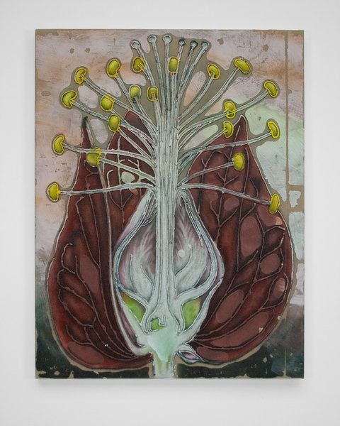EVI026 - Ewoud Viane - P. Strictiflora