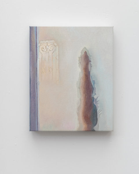 EDV19 - Edouard Devriendt - neigbours