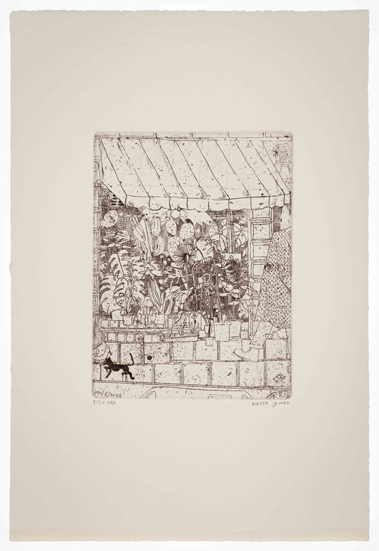 Pieter Jennes - Huisje, tuintje, ... VII (#1/5)(PJ628)