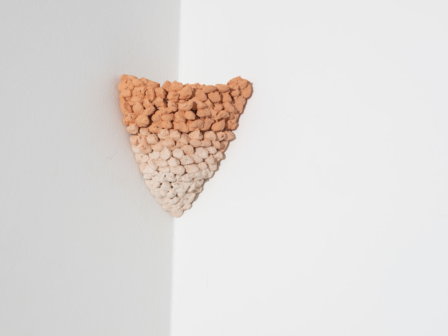 SDV124 - Sarah De Vos - Swallow nest