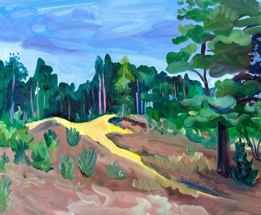ED401 - Elise Debrock - Lommelse Sahara
