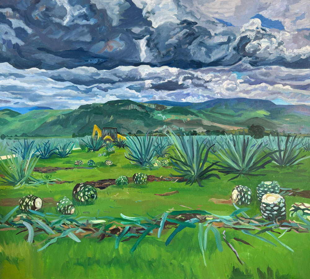 ED415 - Elise Debrock - Agave Field