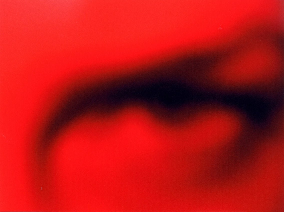 HK_013 - Hannelore Knuts - Did you see?
