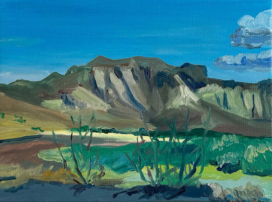 ED373 - Elise Debrock - Mexican Desert