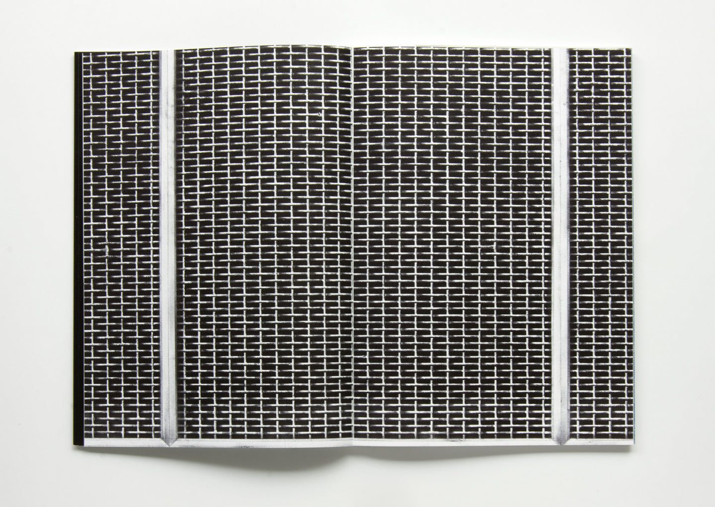 Hannelore Van Dyck, 'Een Vogel Vliegt Op'