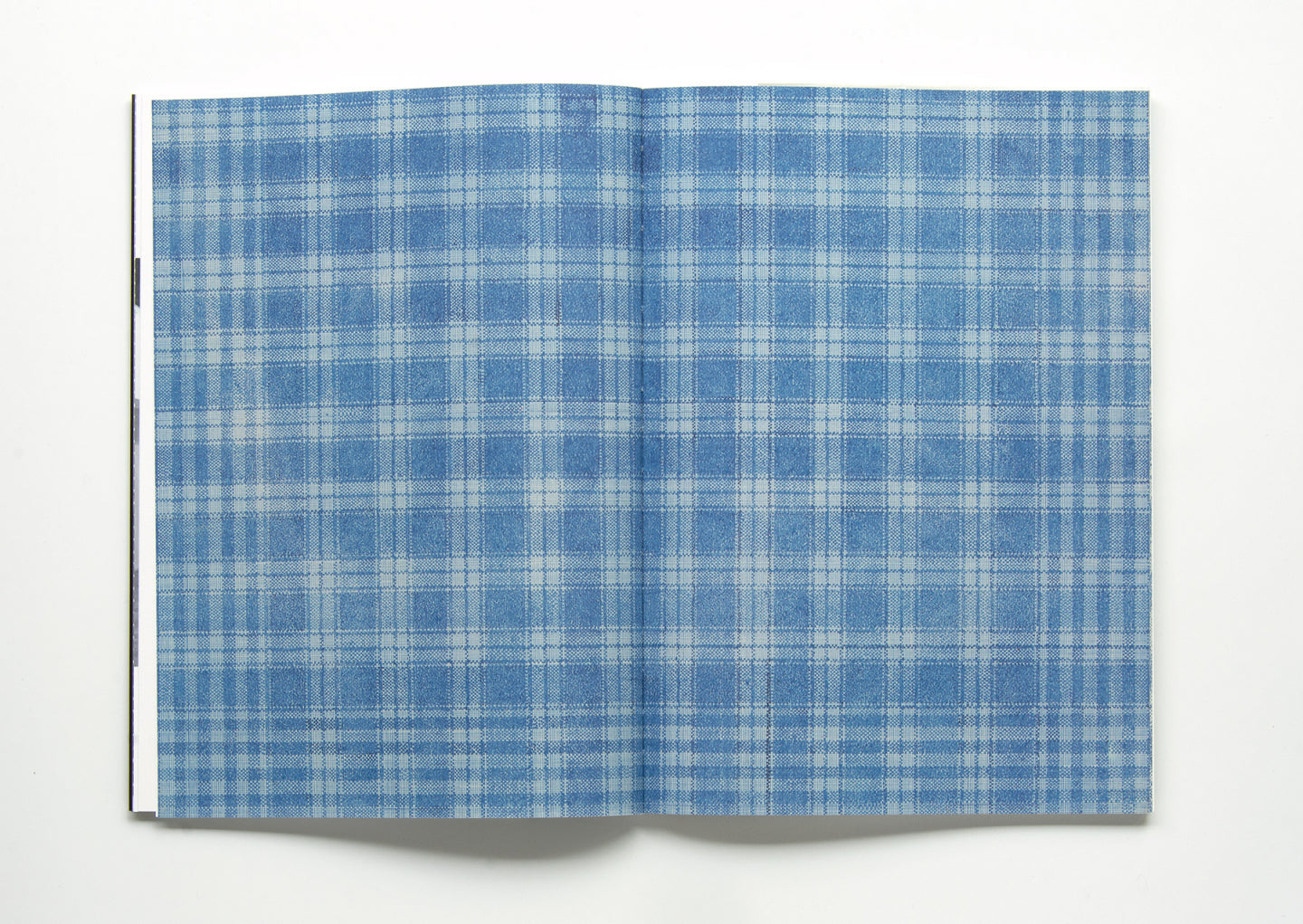 Hannelore Van Dyck, 'Een Vogel Vliegt Op'